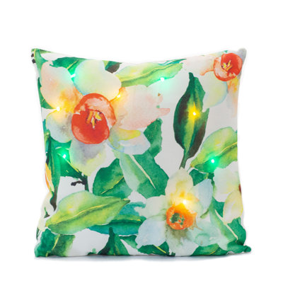 Outdoor Throw Pillow
