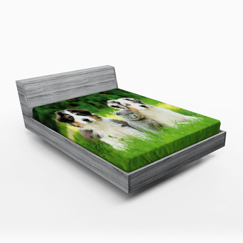 Microfiber Fitted Sheet, Queen Fitted Sheet