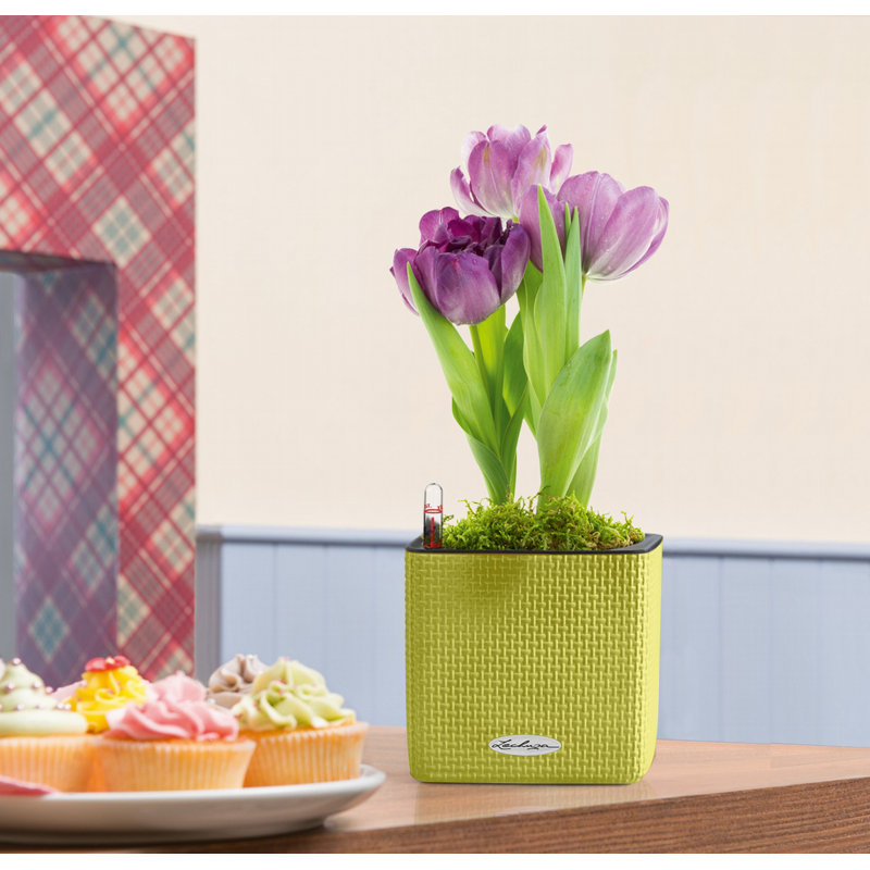 Cube Pot Planter, Lime Green
