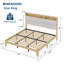 Base de lit très grand avec tête de lit Boucle, rembourrée, 2 tablettes, station de charge intégrée, lattes de bois robustes, silencieuse, assemblage facile, aucun sommier nécessaire, blanc pur-1804809489-1804809495