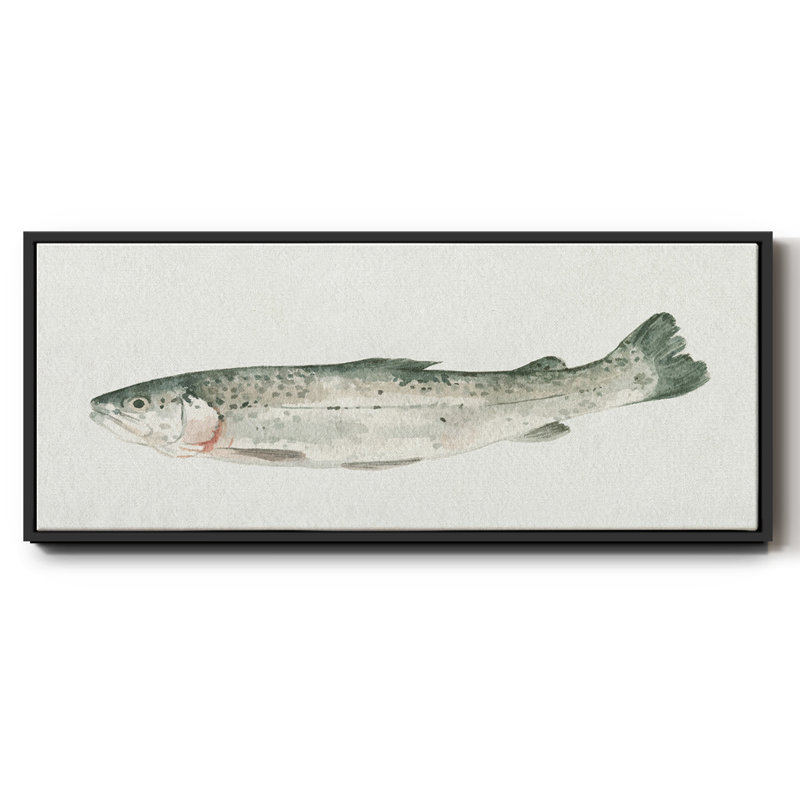 Fresh Catch IV- Framed Canvas, 20" H x 50" W