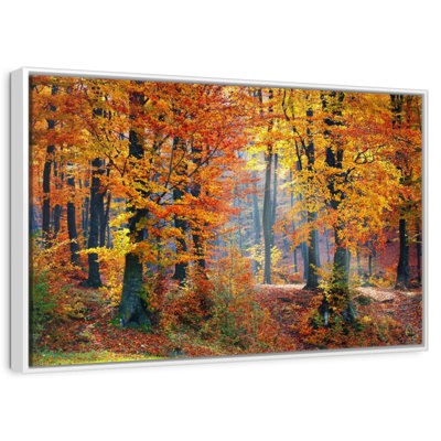Arbres d'automne