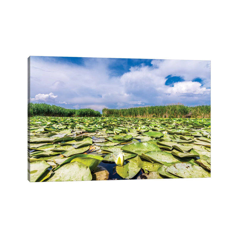 Lotus Field by Nejdet Duzen - Wrapped Canvas Print, 20.32 cm H x 30.48 cm W