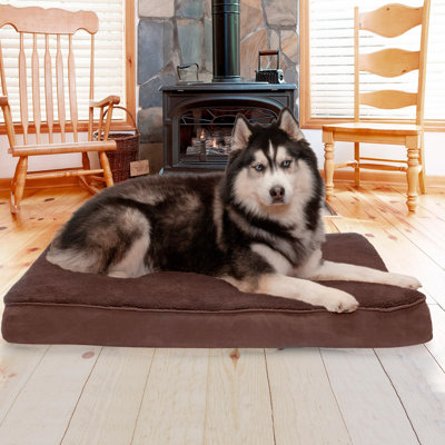 Snuggle Orthopedic Polyester Pet Bed