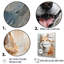 Dog Akita Affection sur toile-22924622-22924614
