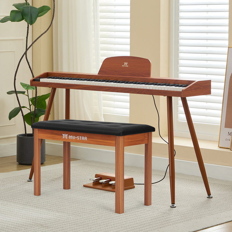 Jeu de musique électrique avec banc, Brown