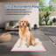 Sabin Plastic Pet Pee Pad