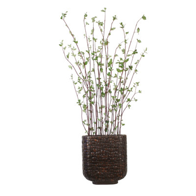 Birch in an Oval Textured Planter