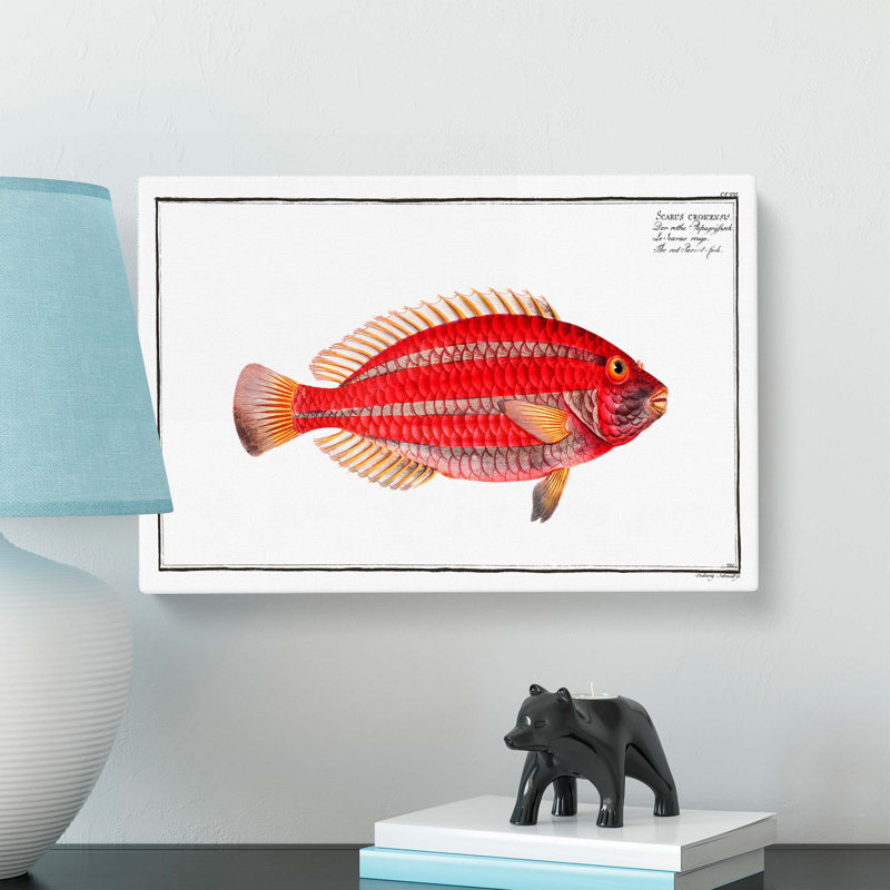 Parrot-Fish by M.E. Bloch - Wrapped Canvas, 35cm H x 50cm W x 3cm D