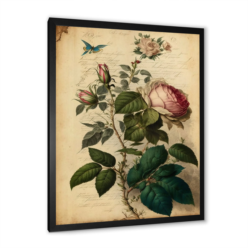 «Pink Rose on Retro Parchment I», reproduction sur toile, H 40 po x l 30 po x P 1,5 po, Cadre photo noir