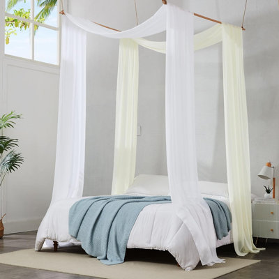 Candida Chiffon Solid Semi-Sheer Window Scarf