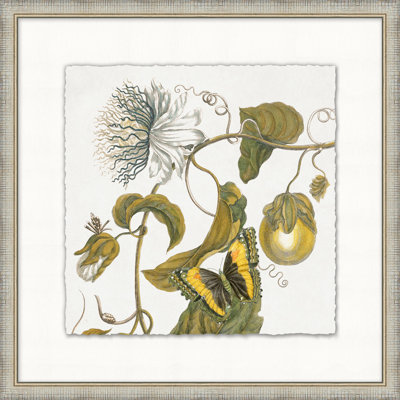 Garden Butterflies 8 Print