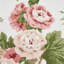 Wycombe Park Fabric-37114858