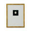 Intaglio In Gold V Print