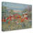 Fluellen Coastal-29224701