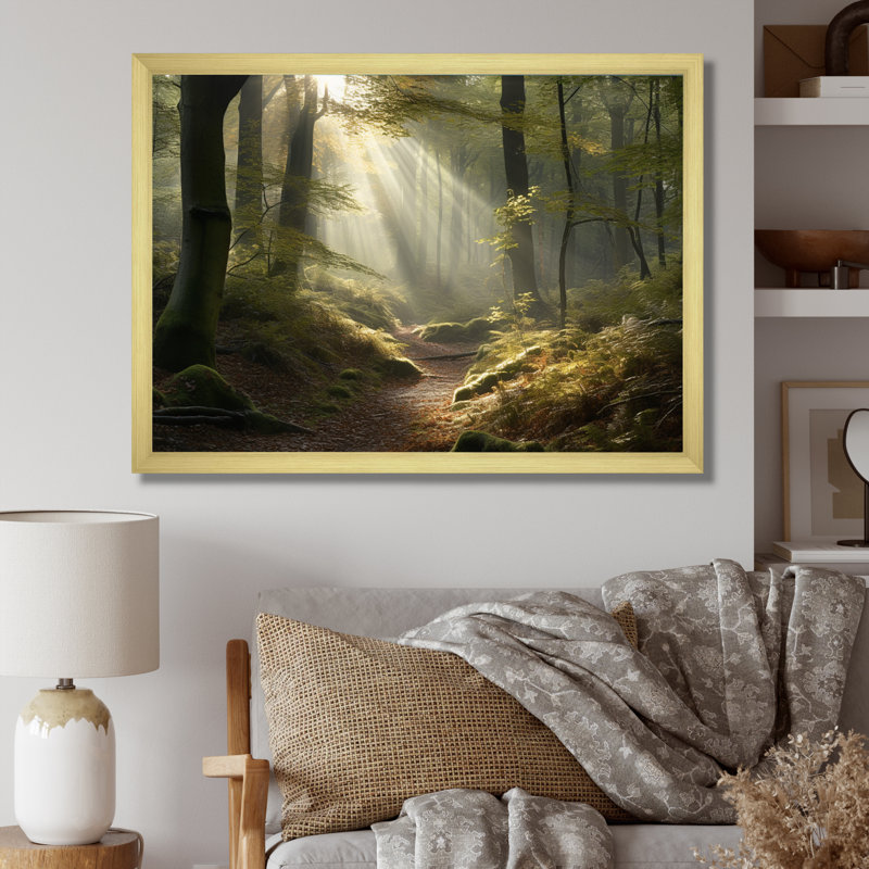 " Light Streams Through Forest III ", Gold Picture Framed, 30" H x 40" W x 1.5" D