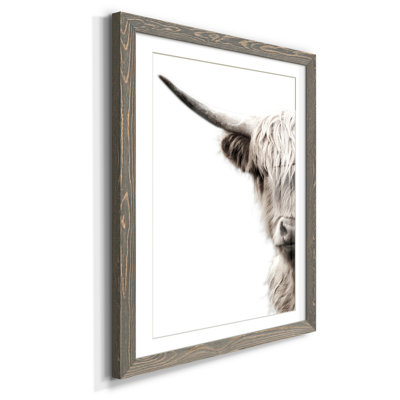 " Highland Cattle "