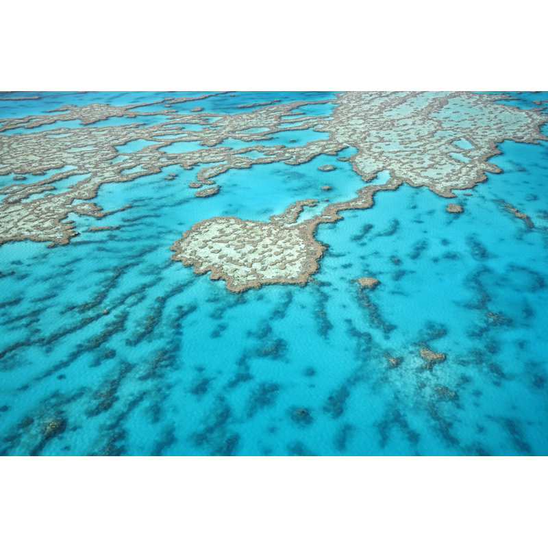 Great barrier reef, 60cm H x 90cm W