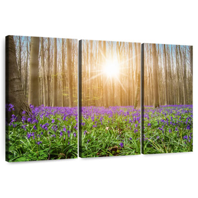 Alvord Bluebells In The Forest
