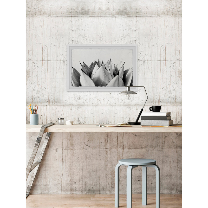 Sweet Succulents II by Morgan J Hartley - Single Picture Frame Graphic Art, 16" H x 24" W