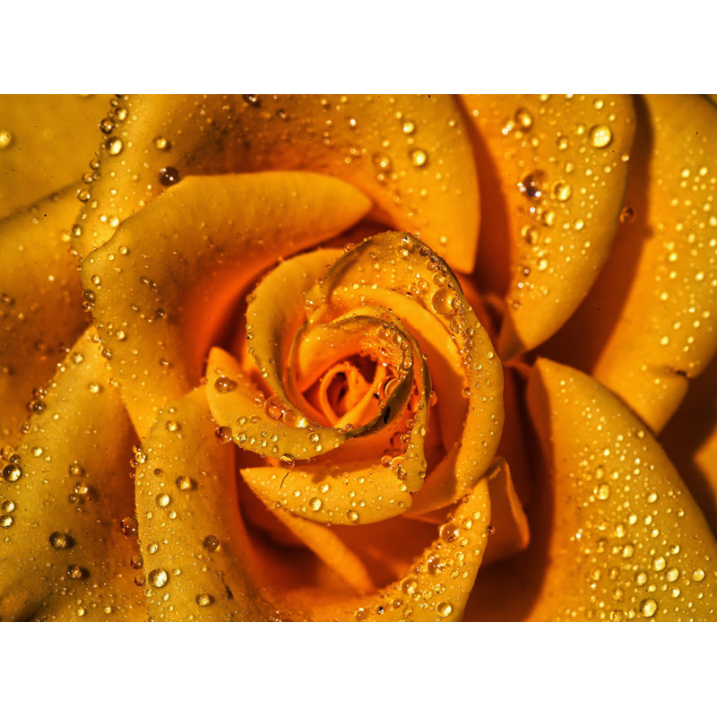 Bougie de voyage parfumée Golden Golden