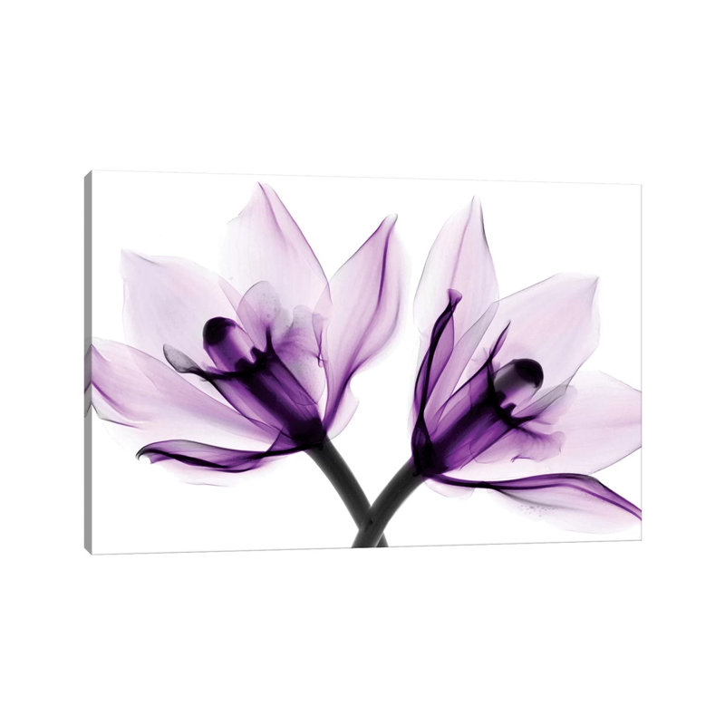 Orchids I by Hong Pham - Print on Canvas, 20.32 cm H x 30.48 cm W, Wrapped Canvas