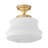 1-lamp White Gold Adjustable Glass Flush Mount Light