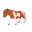 Poney Shetland