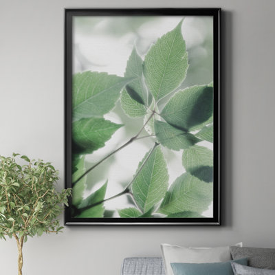«Fields of Green I» par J Paul - reproduction de photo sur toile encadrée