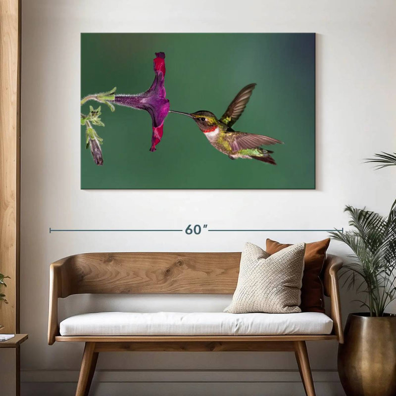 Nectar Brampt suçant un colibri, H 32 po x l 48 po
