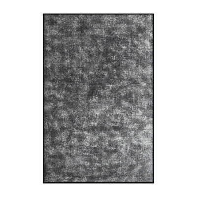 Indoor Rug