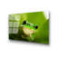 Boze Wall Decor