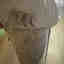 Customer photo 4 of 4