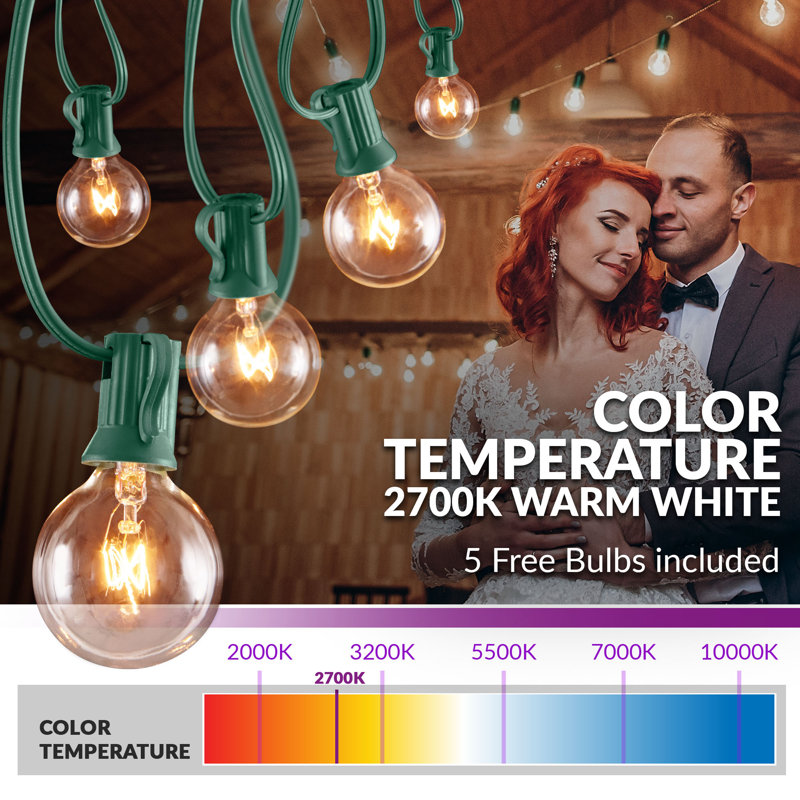 Burroughs 25' Outdoor Plug-in 25 - Bulb Globe String Light, Green