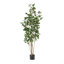 ARBRE DE LAURIER ARTIFIQUE 180CM 180CM-1609630818