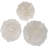 Juvan Polyresin Coral-Inspired Disc Wall Decor