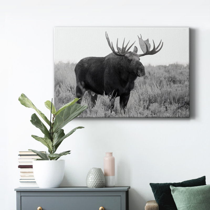 Grand Teton Bull Moose - Photographie sur toile tendue, H 60 po x l 40 po x P 1 po