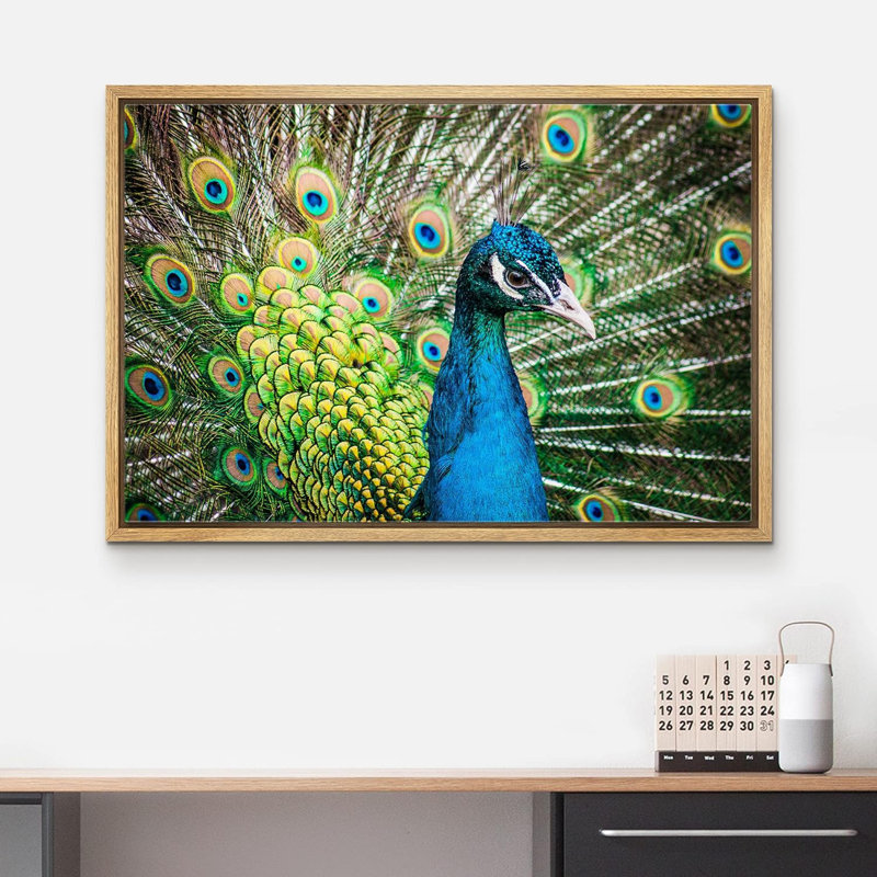 Plumes vibrantes d'oiseaux paon émeraude sur toile, Cadre naturel, H 24 po x l 36 po x P 1,5 po