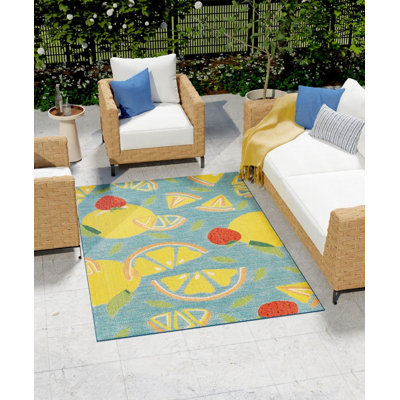 Indoor / Outdoor Rug