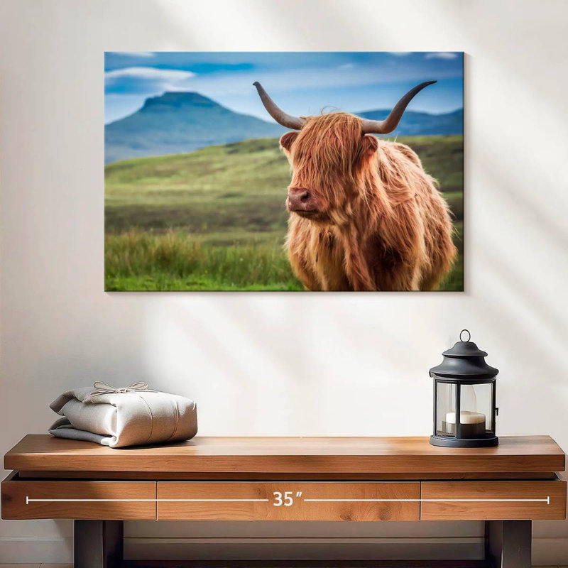 Vache Highland Brampt, H 16 po x l 24 po