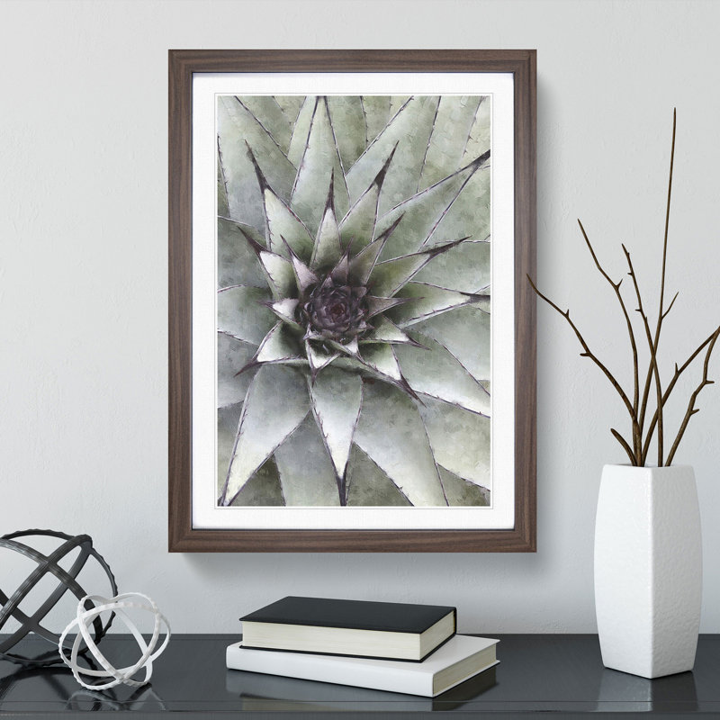 The Succulent Plant - Picture Frame Painting, 65cm H x 48cm W x 2cm D, Walnut Framed