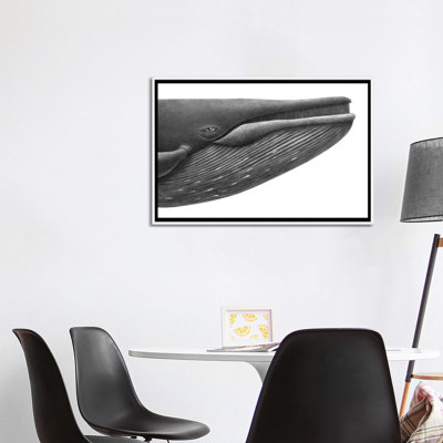 «Blue Whale Study» par Terry Fan - reproduction d'art