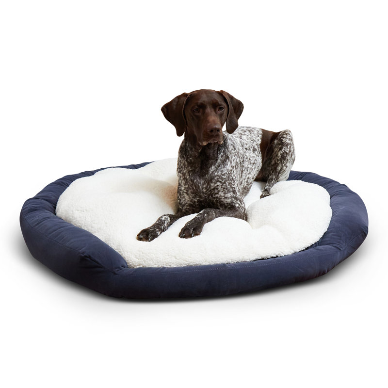 Lit pour chien Chamari Donut, Grand (l 42 po x P 42 po x H 8 po), Denim