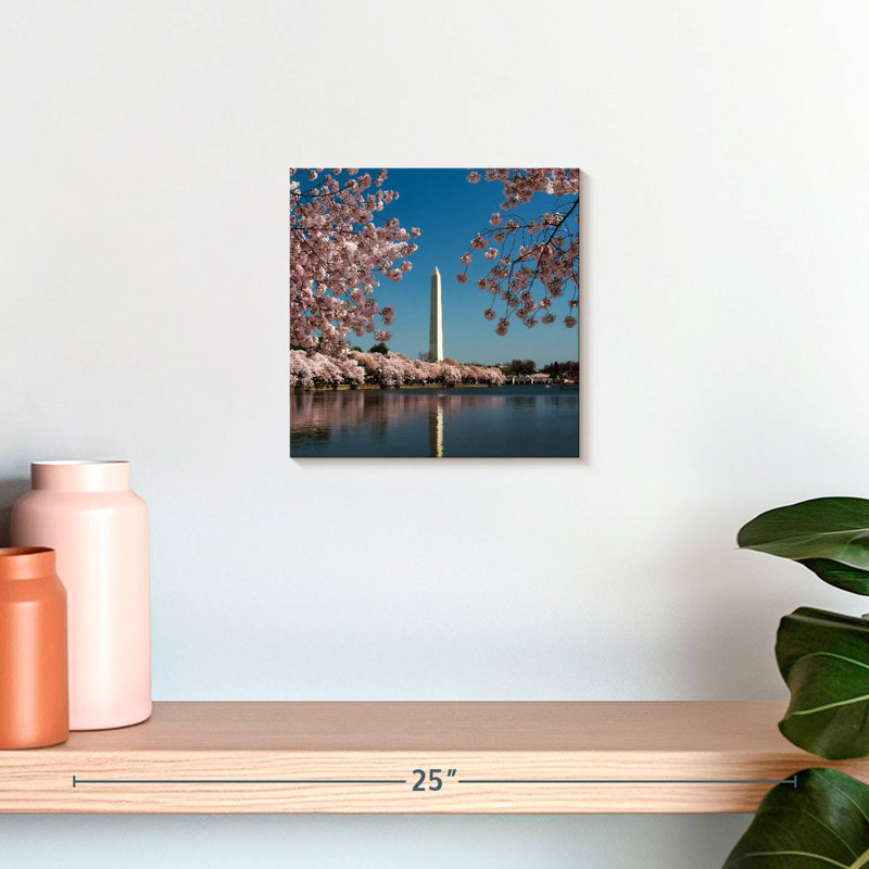Lilie Washington Monument Sakura, H 10 po x l 10 po