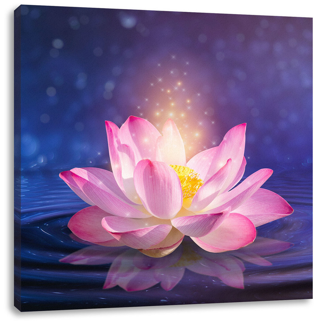 Leinwandbild Rosa Lotus im Wasser