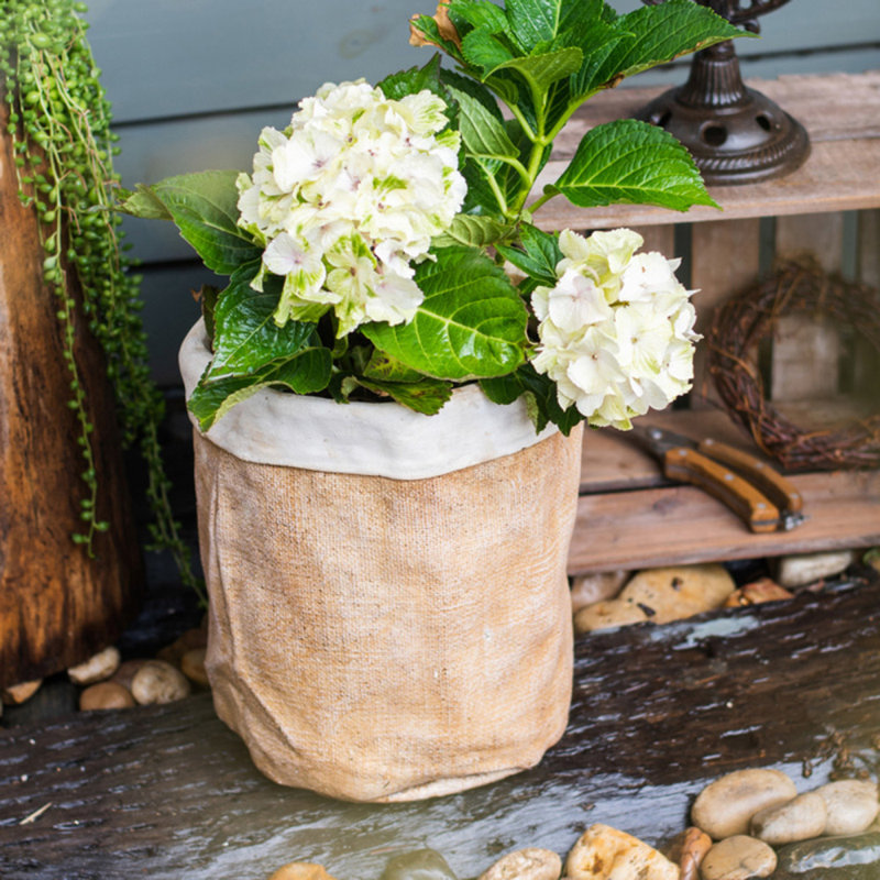 Pot à fleurs en béton Nwaba, H 11,4 po x l 8,3 po x P 9,1 po