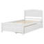 Lit plateforme simple avec deux tiroirs-500148887