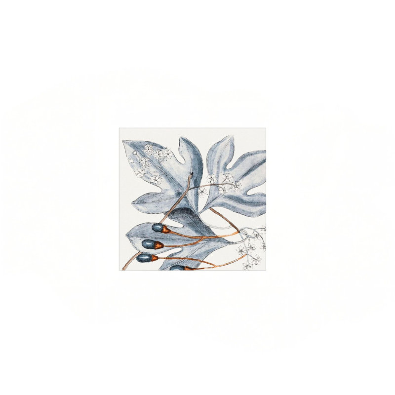 Impression sur toile botanique rétro vintage, art mural 24 x 24 po