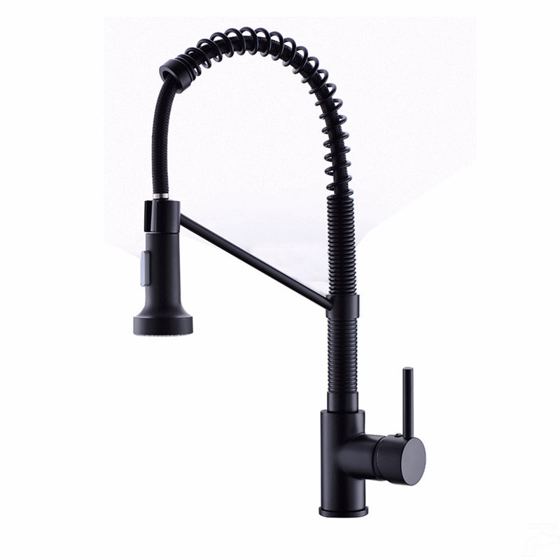 Robinet de cuisine avec douchette extractible en acier inoxydable