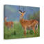 No Frame Print on Canvas-437089598